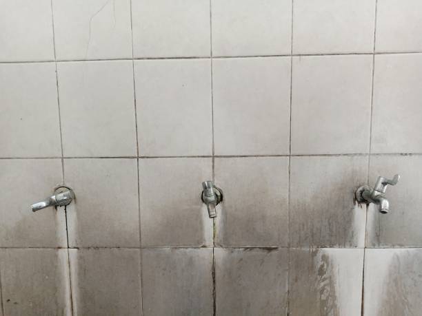 Best Water damage mitigation services  in Roberta, GA