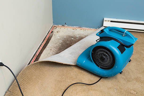 Best Carpet water damage restoration  in Roberta, GA